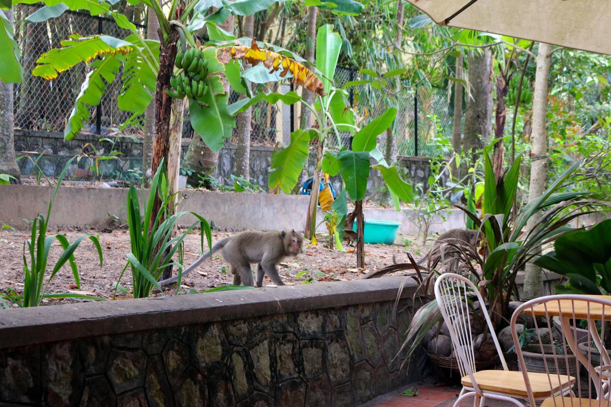 Hotel Casa Kep Exterior foto